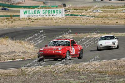 media/May-03-2025-Lucky Dog Racing (Sat) [[206de64b9d]]/Turn 4 A (3pm-4pm)/